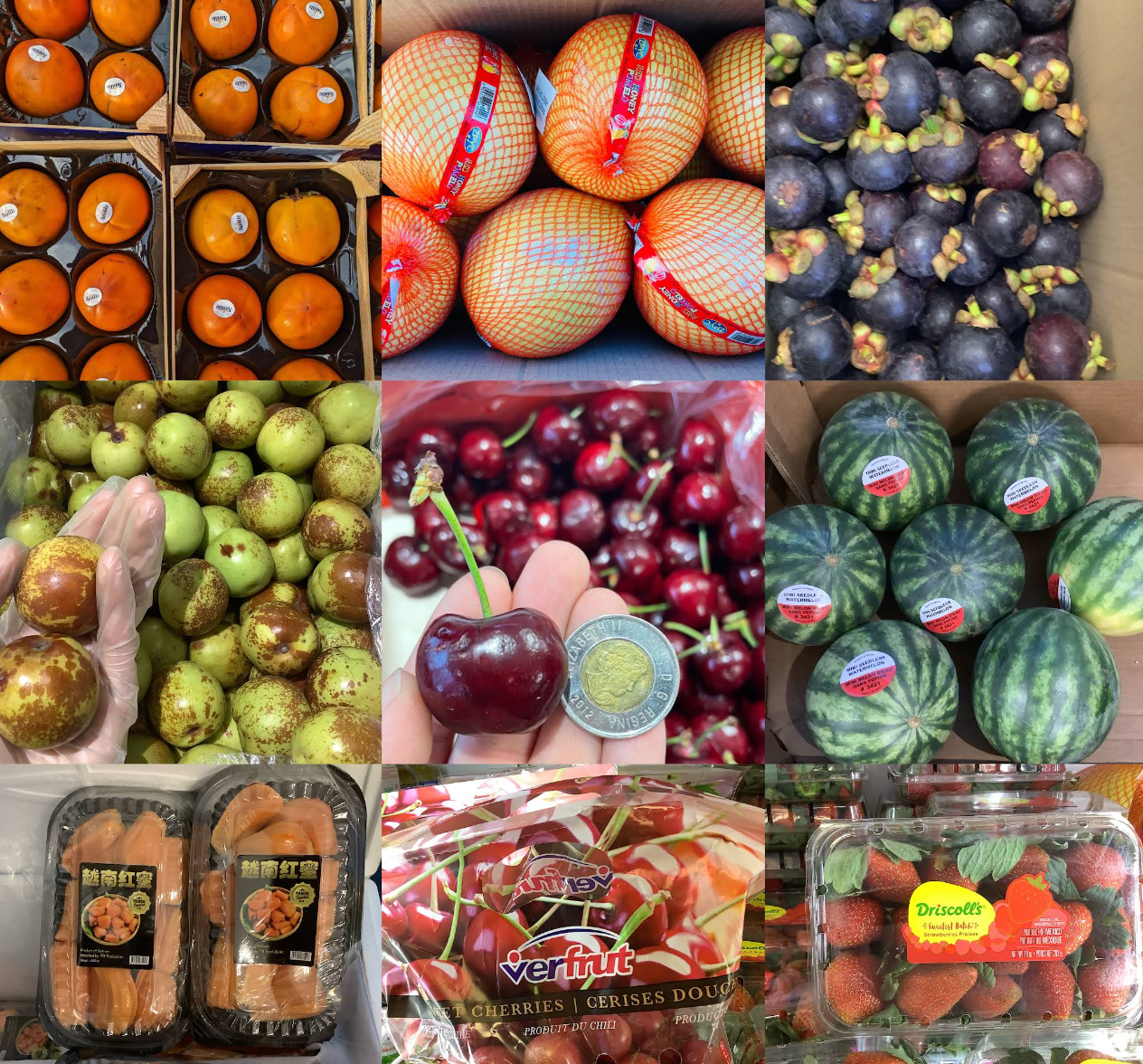 A colourful selection of fresh fruit